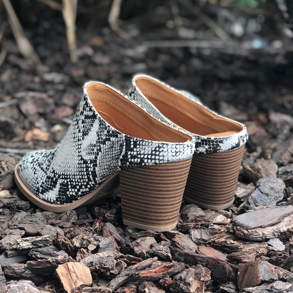 😍restock Snake skin mule - Picture 7 of 8